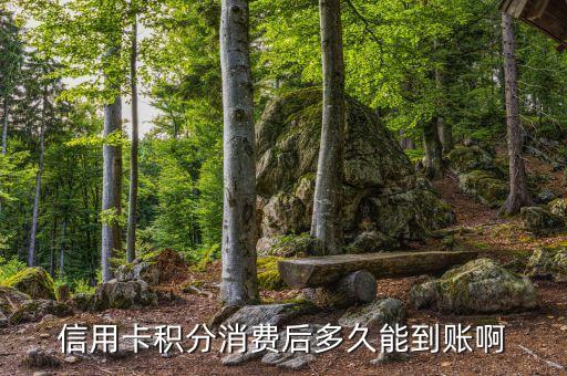 中信银行信用卡无积分吗,中信银行信用卡积分怎么查询