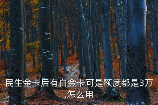 民生金卡后有白金卡可是额度都是3万,怎么用