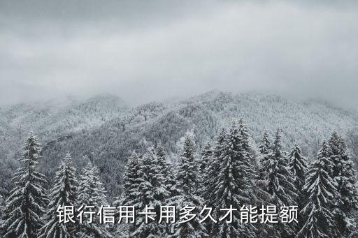 银行信用卡用多久才能提额