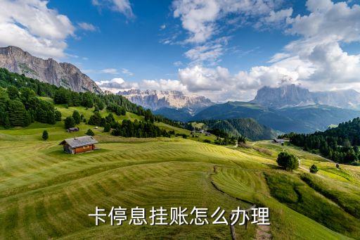 卡停息挂账怎么办理