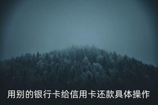 用别的银行卡给信用卡还款具体操作