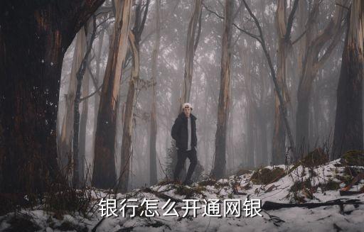 银行怎么开通网银