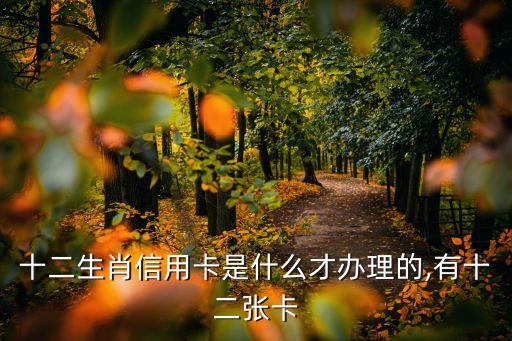 十二生肖信用卡是什么才办理的,有十二张卡