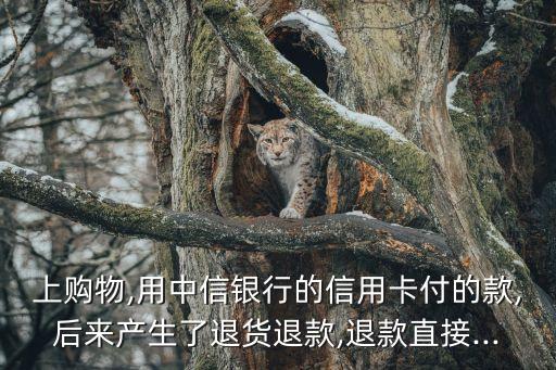 上购物,用中信银行的信用卡付的款,后来产生了退货退款,退款直接...