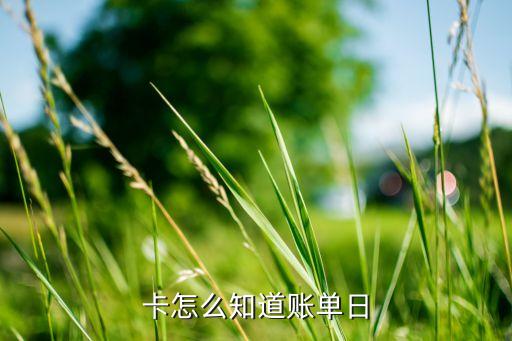 卡怎么知道账单日