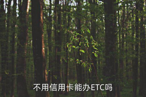 不用信用卡能办ETC吗