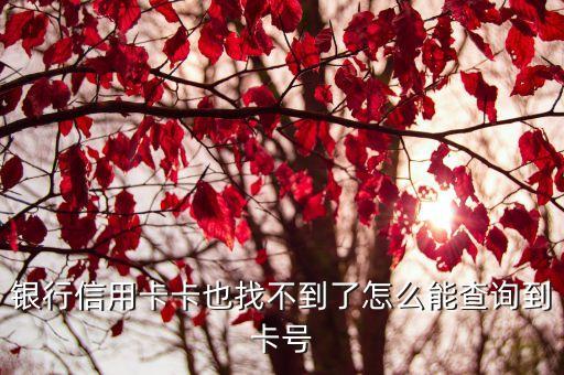 银行信用卡卡也找不到了怎么能查询到卡号