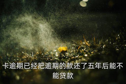 卡逾期已经把逾期的款还了五年后能不能贷款