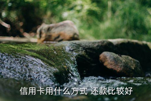  信用卡用什么方式 还款比较好