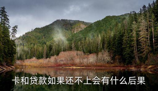 卡和贷款如果还不上会有什么后果