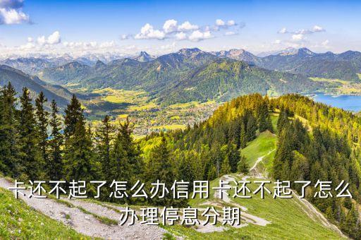 卡还不起了怎么办信用卡还不起了怎么办理停息分期