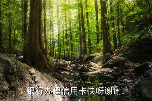 银行办理信用卡快呀谢谢!