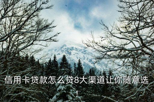 信用卡贷款怎么贷8大渠道让你随意选!