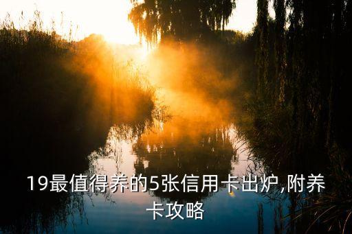 19最值得养的5张信用卡出炉,附养卡攻略