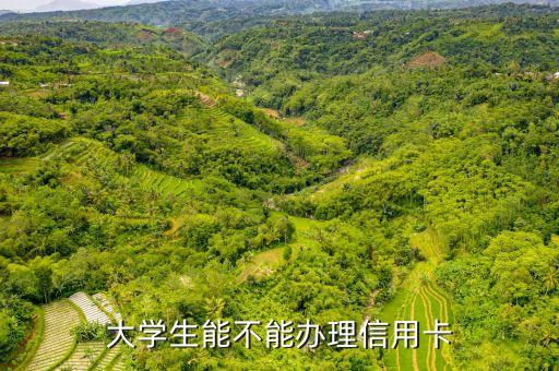 大学生能不能办理信用卡