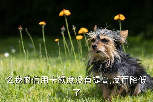 么我的信用卡额度没有提高,反而降低了