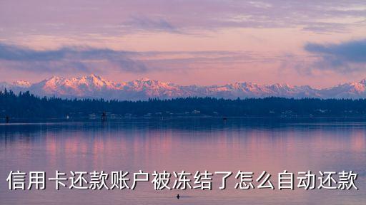 信用卡还款账户被冻结了怎么自动还款