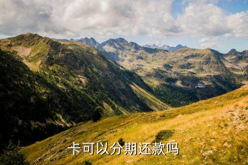 卡可以分期还款吗