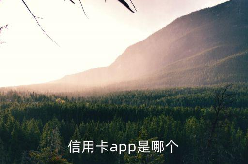 交通信用卡还款什么平台,还有交通信用卡的app