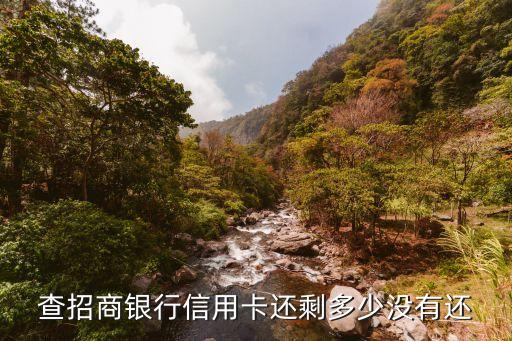 查招商银行信用卡还剩多少没有还