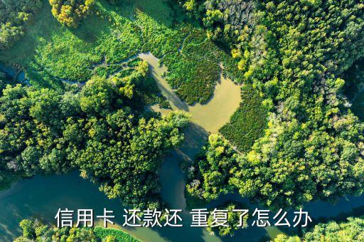  信用卡 还款还 重复了怎么办