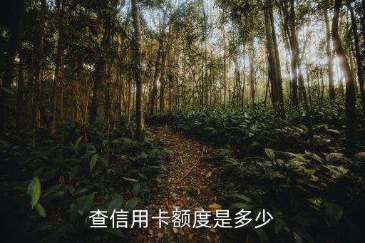 查信用卡额度是多少