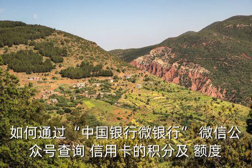 如何通过“中国银行微银行” 微信公众号查询 信用卡的积分及 额度