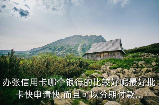 办张信用卡哪个银行的比较好呢最好批卡快申请快,而且可以分期付款...