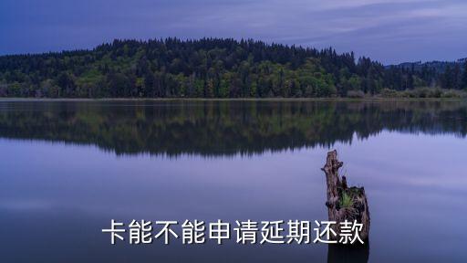卡能不能申请延期还款