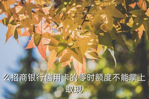 么招商银行信用卡的零时额度不能掌上取现