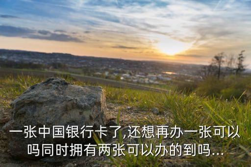 一张中国银行卡了,还想再办一张可以吗同时拥有两张可以办的到吗...