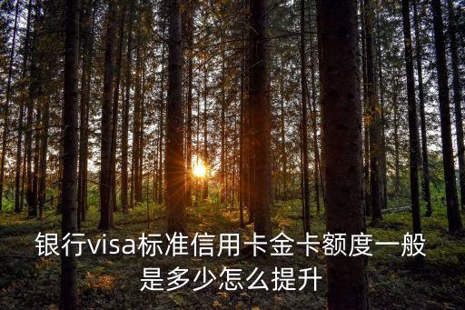 交通信用卡万事达金卡额度,万事达标准信用卡的金卡限额是多少