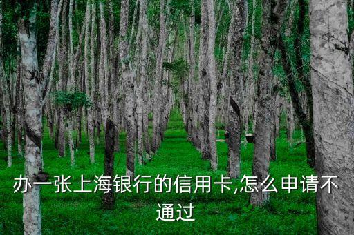 办一张上海银行的信用卡,怎么申请不通过