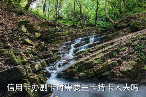 建设银行信用卡附卡怎么办,建行信用卡附属卡