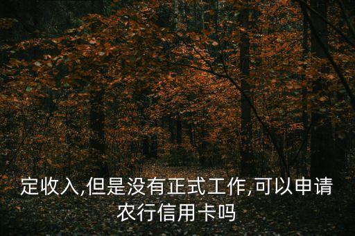 定收入,但是没有正式工作,可以申请农行信用卡吗