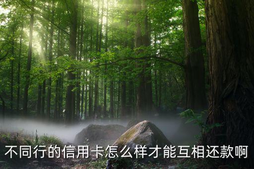 信用卡两张卡怎么还款,两张信用卡如何冲正