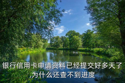 银行信用卡申请资料已经提交好多天了,为什么还查不到进度
