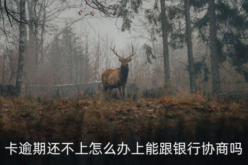 卡逾期还不上怎么办上能跟银行协商吗