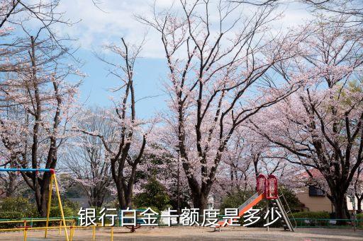 银行白金卡额度是多少
