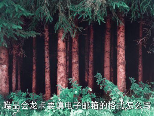 唯品会龙卡要填电子邮箱的格式怎么写