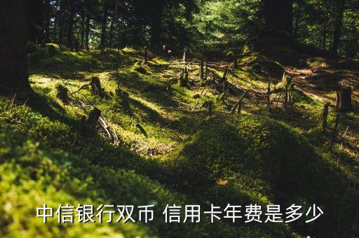 signature信用卡额度,信用卡最高额度是多少