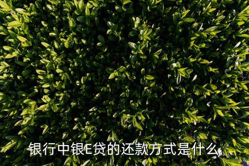 银行中银E贷的还款方式是什么