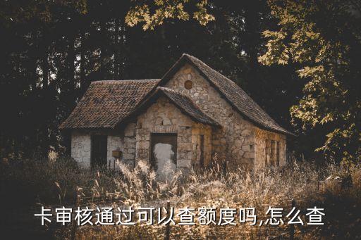卡审核通过可以查额度吗,怎么查