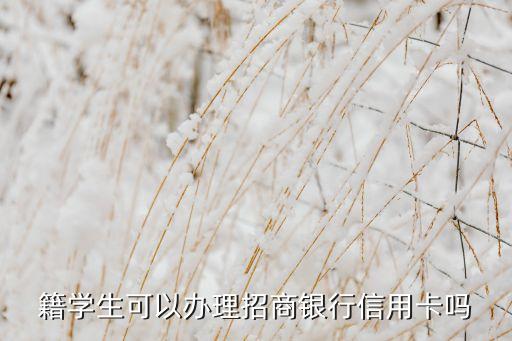 籍学生可以办理招商银行信用卡吗
