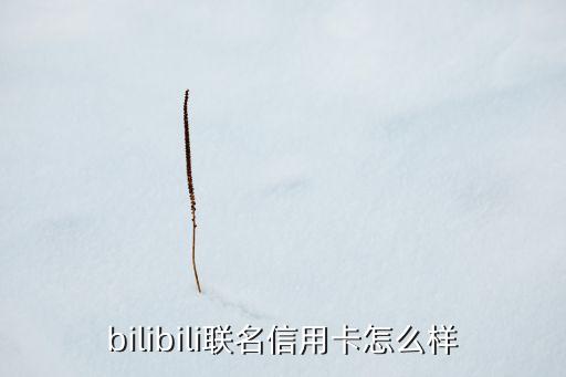 bilibili联名信用卡怎么样