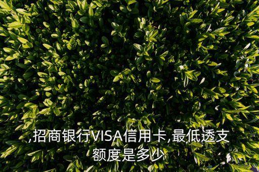 ,招商银行VISA信用卡,最低透支额度是多少