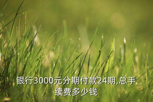 银行3000元分期付款24期,总手续费多少钱