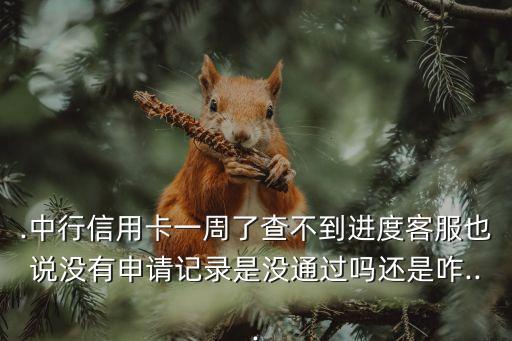 中信diy信用卡查不到申请记录,申请了中信信用卡,但是查不到进度
