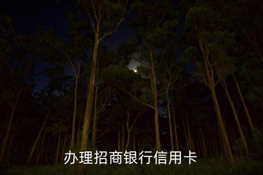 上海招行信用卡申请,如何办理招商银行信用卡