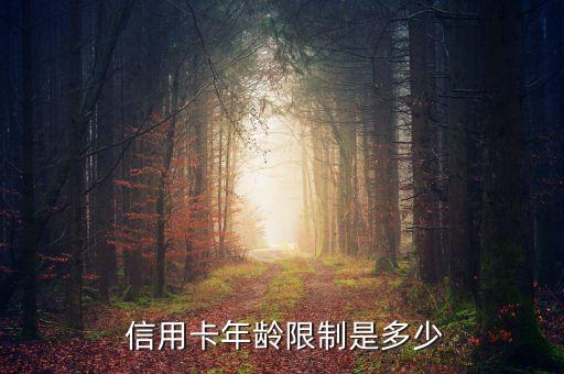  信用卡年龄限制是多少